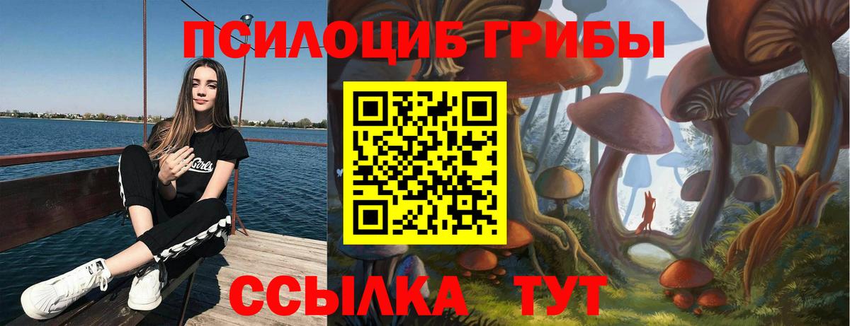 Псилоцибиновые грибы Psilocybe  Вход с VPN  Новороссийск  Псилоцибиновые грибы Psilocybine cubensis 